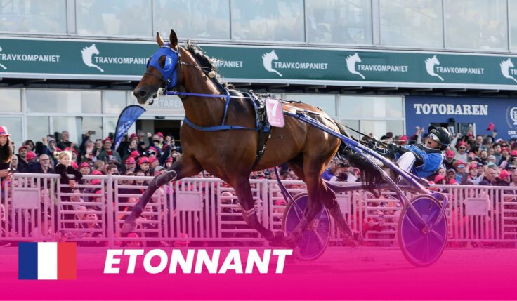 Etonnant ready for Elitloppet 2025