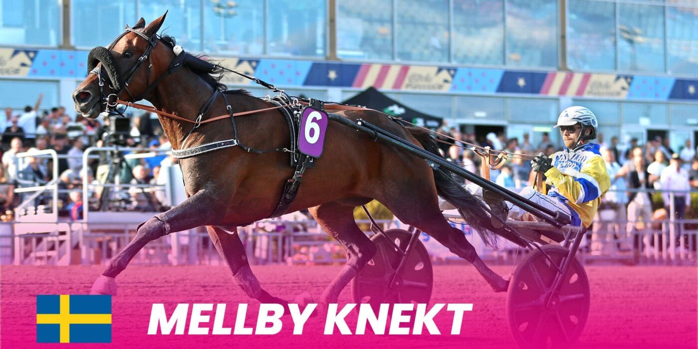 Mellby Knekt takes place behind the starting car in Elitloppet 2025