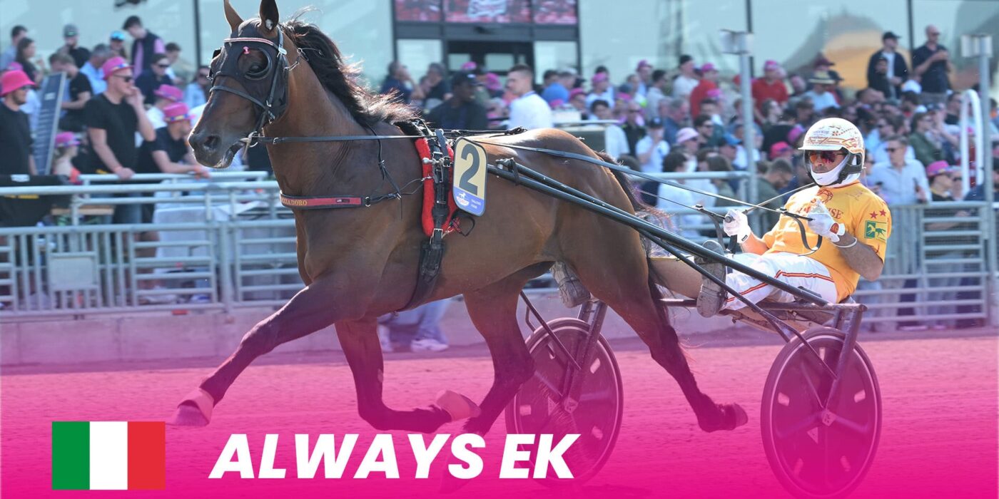 Always Oak defends Italy's colors in Elitloppet 2025