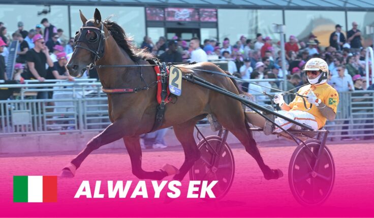 Always Oak defends Italy's colors in Elitloppet 2025