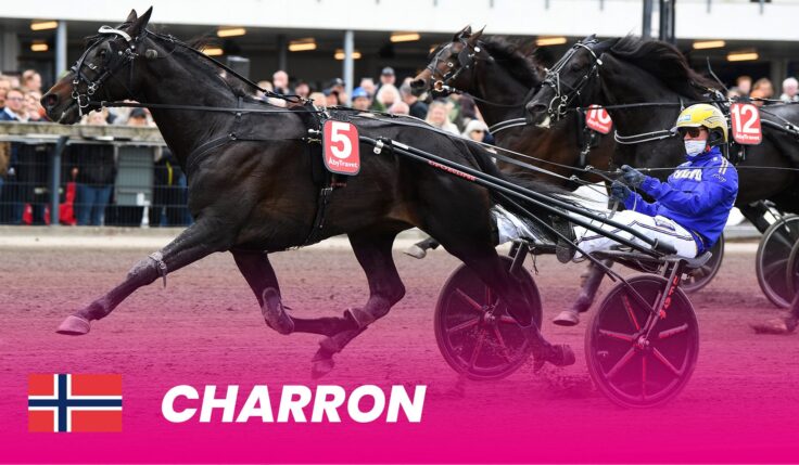 Charron is Norway's hope in Elitloppet 2025
