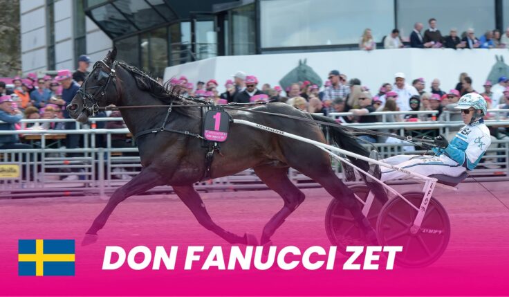 Don Fanucci Zet took direct place to Elitloppet 2025