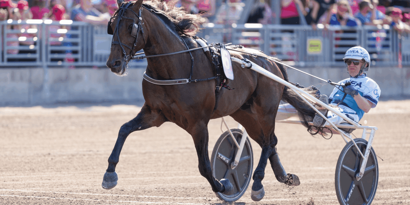 Voici comment la répartition des voies du Elitloppet 2025 a été organisée
