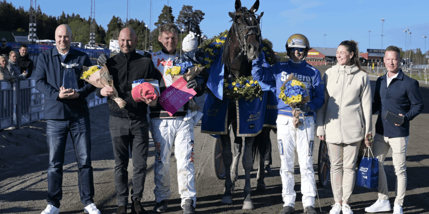 Global Etalon does not start in Elitloppet
