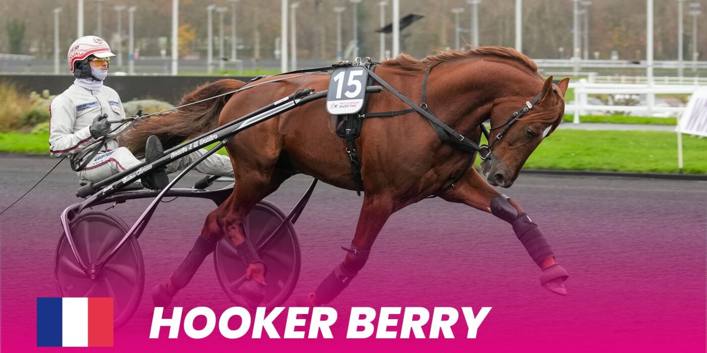 Hooker Berry takes place in Elitloppet 2025 - the starting field is set