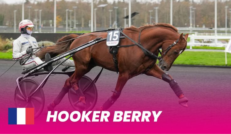 Hooker Berry takes place in Elitloppet 2025 - the starting field is set