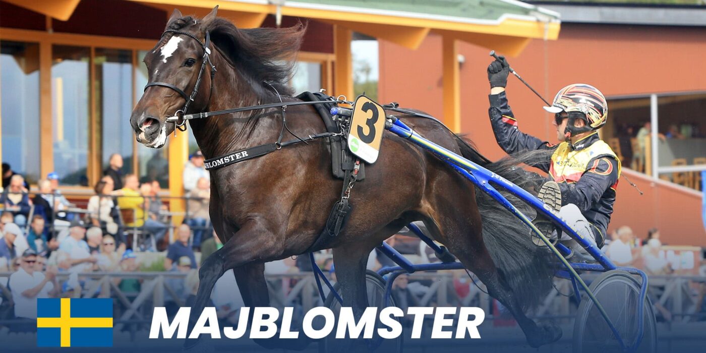 Ready for Elitkampen 2025 at Solvalla