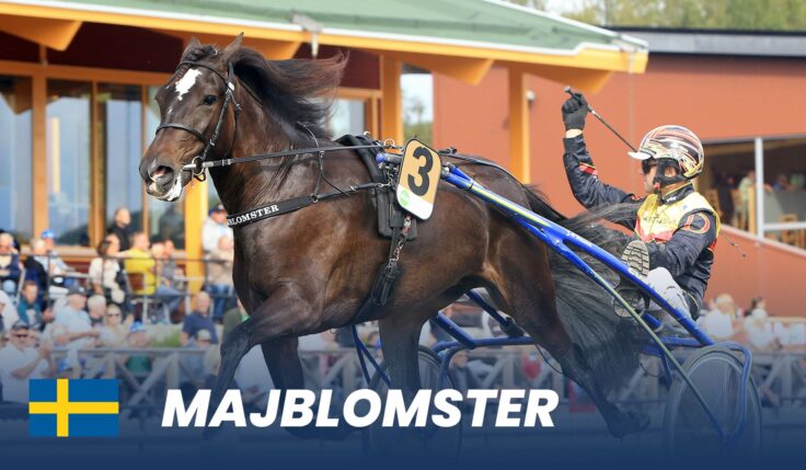 Ready for Elitkampen 2025 at Solvalla