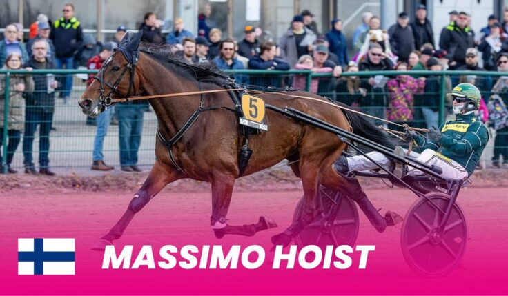 Massimo Hoist takes the last seat for Elitloppet 2025