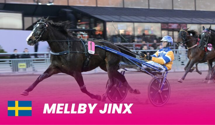 Mellby Jinx ready for Elitloppet - after a strong sprint in Finland