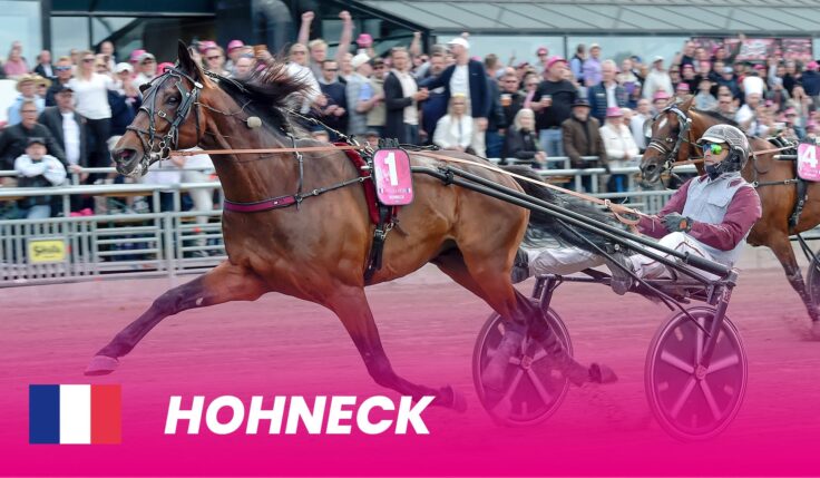 The 2023 winner makes a comeback in Elitloppet
