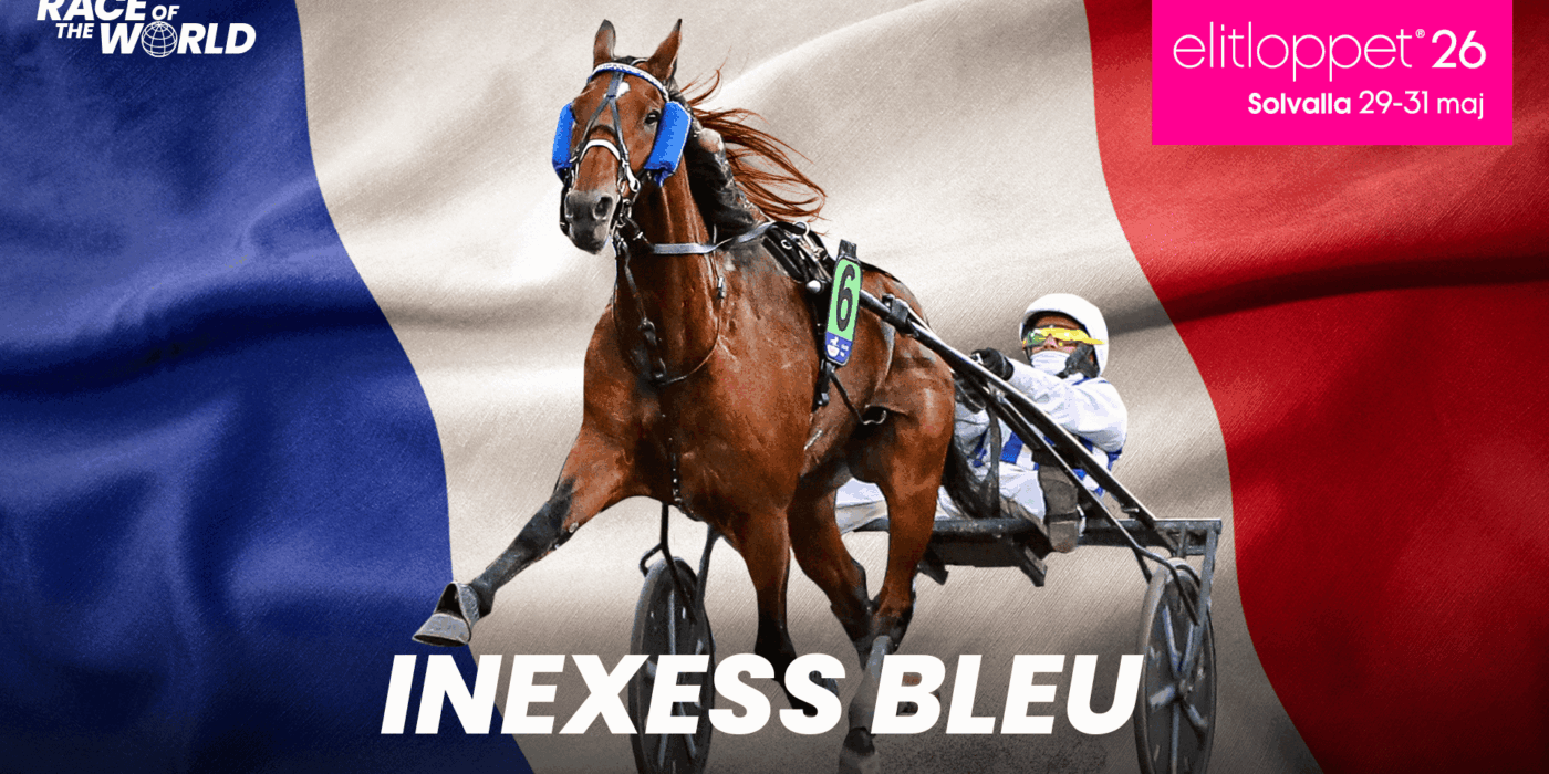 INEXESS BLEU
