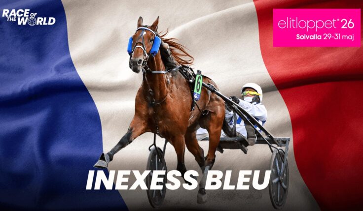 INEXESS BLEU