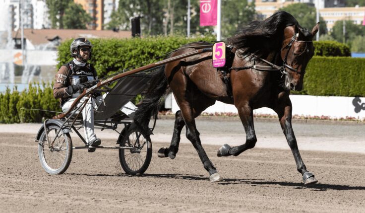 Francesco Zet au week-end du Elitlopp !
