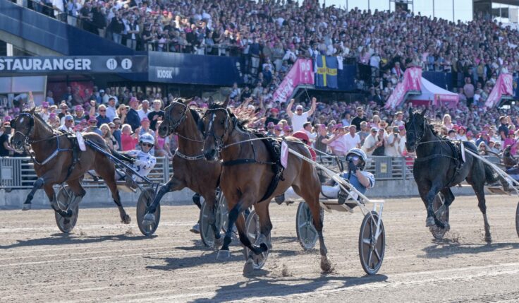 Record du monde en Elitloppet