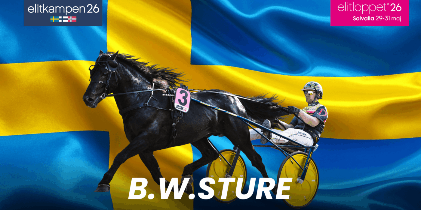 B.W.Sture