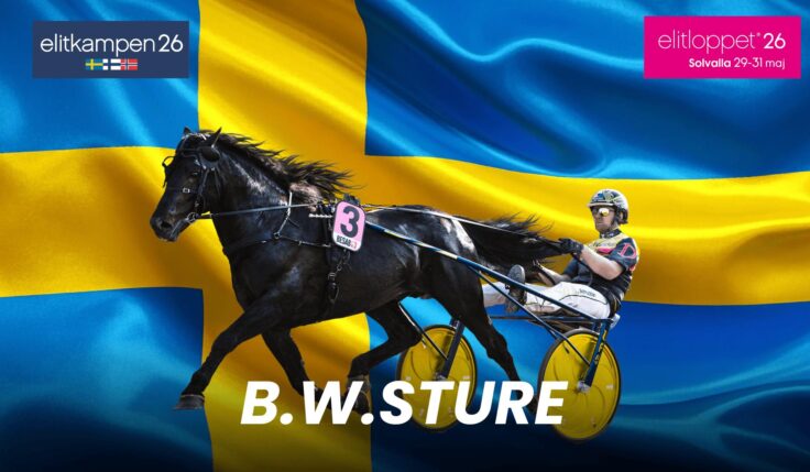 B.W.Sture