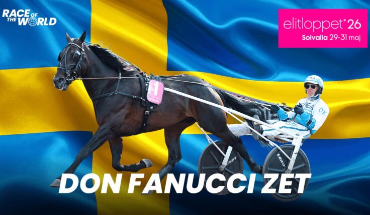 Don Fanucci Zet