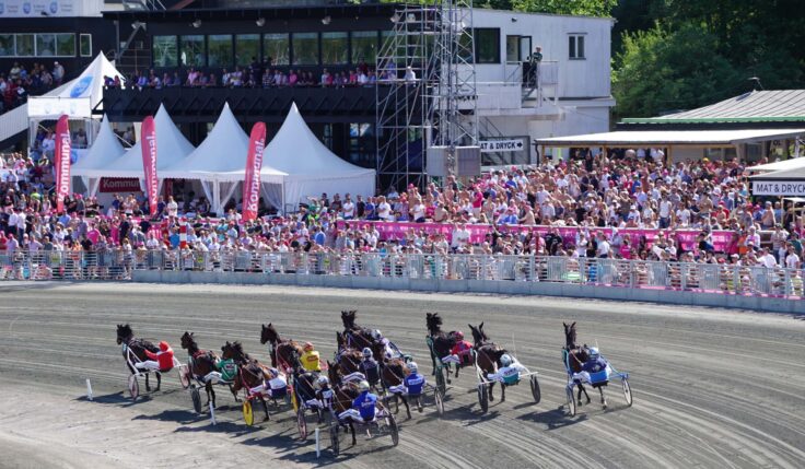 Svenska Brasserier guest stars at Elitloppshelgen