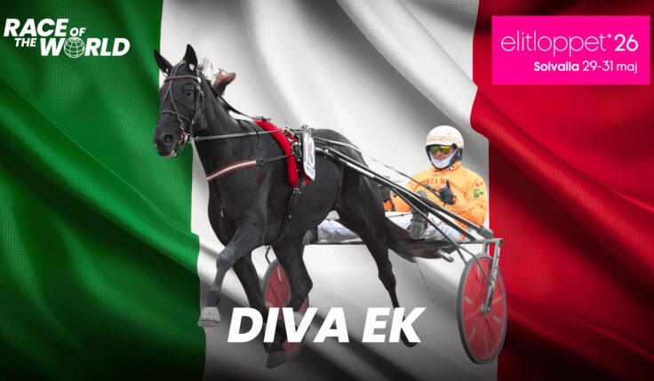 Diva EK
