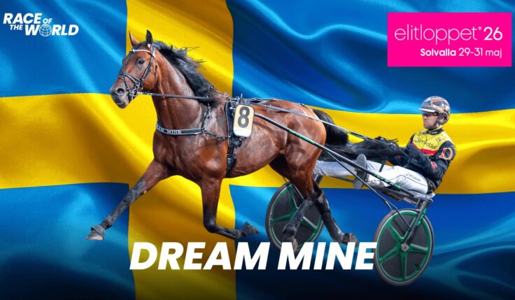 Dream Mine