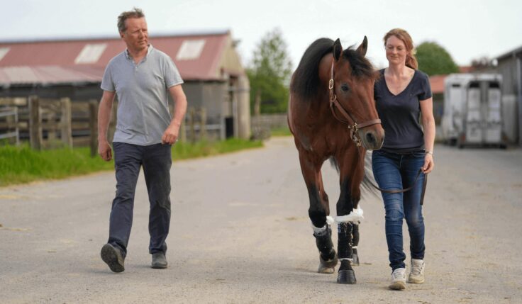 Hästarna som flyger till Elitloppet
