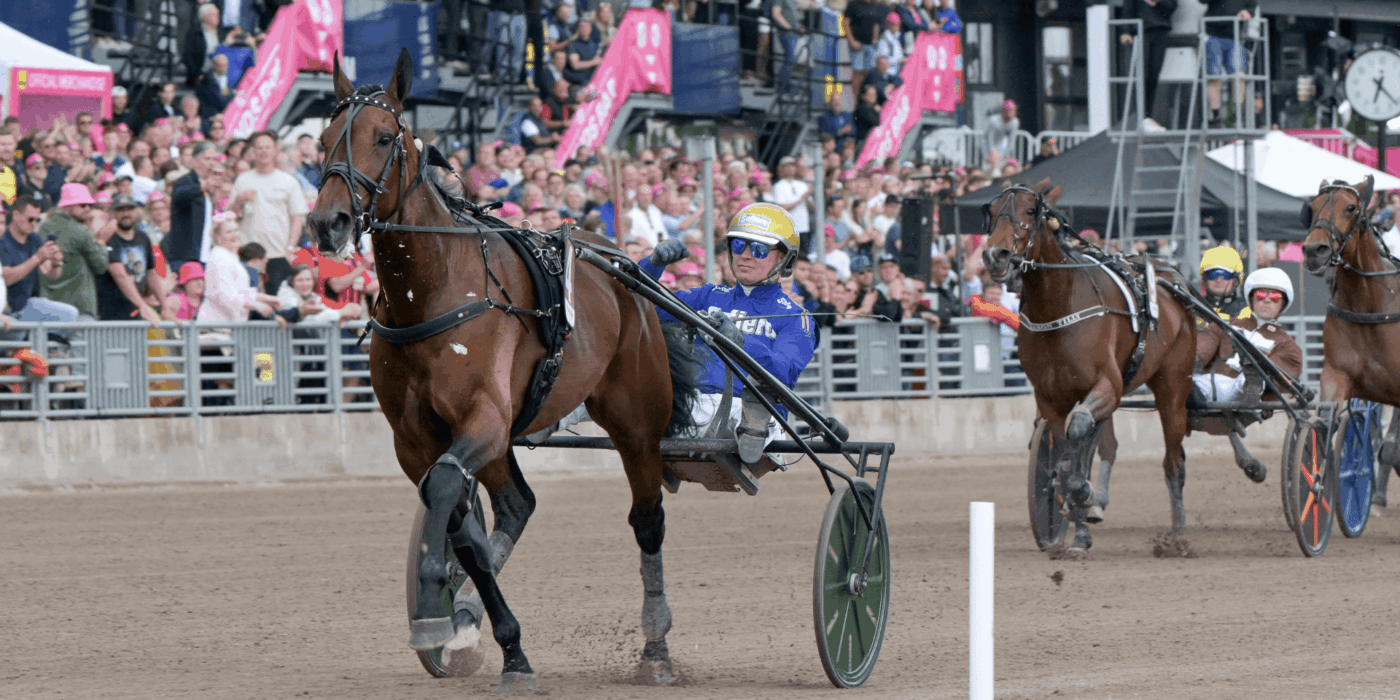 Fartfylld fest på Solvalla