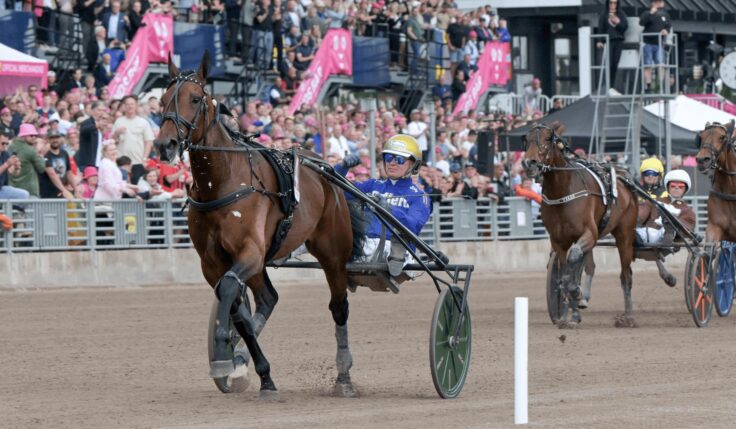 Une fête au rythme effréné à Solvalla