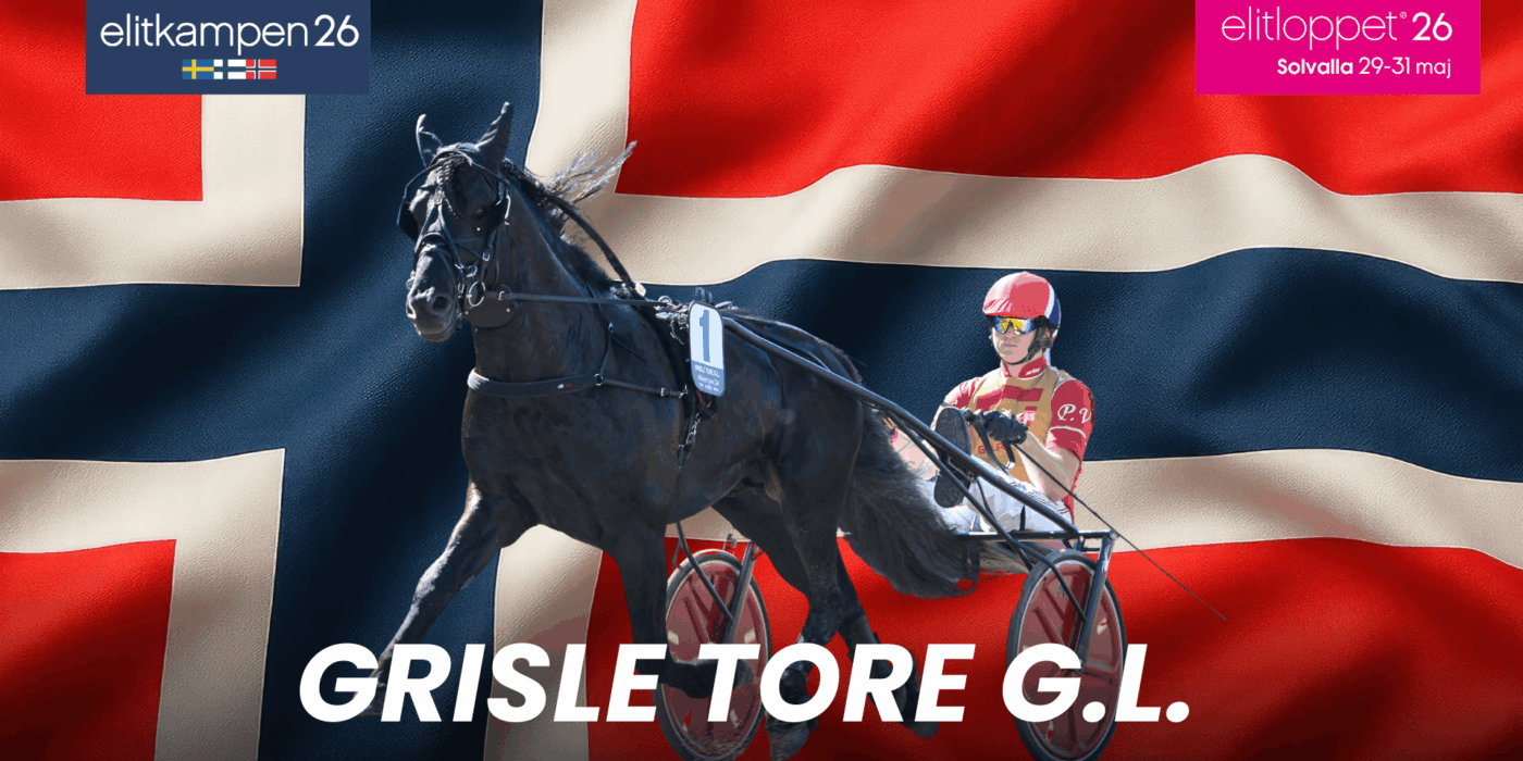 Grisle Tore G.L.