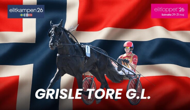 Grisle Tore G.L.