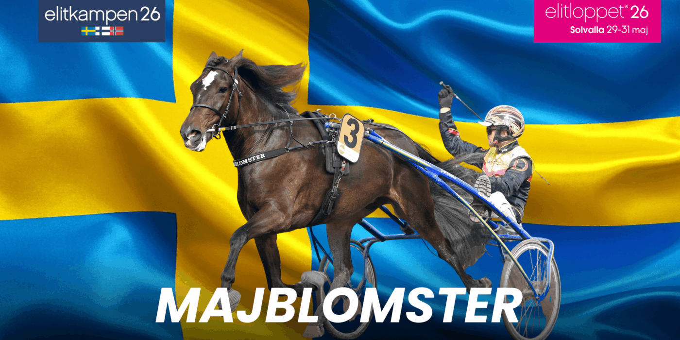 Majblomster