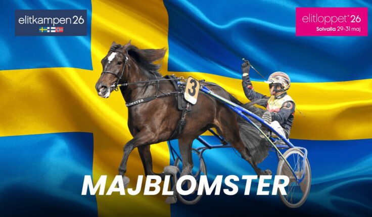 Majblomster