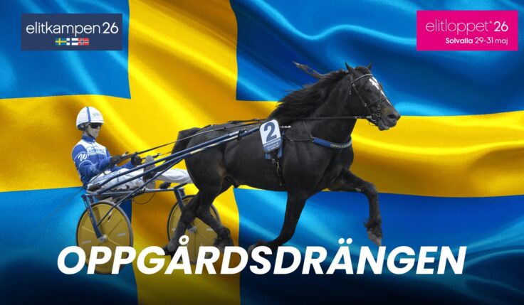 Oppgårdsdrängen