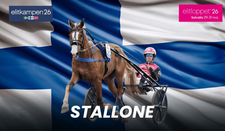 Stallone