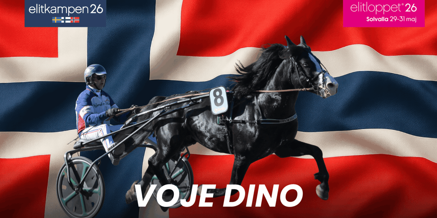 Voje Dino