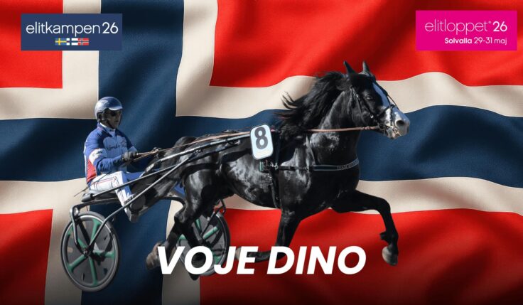 Voje Dino